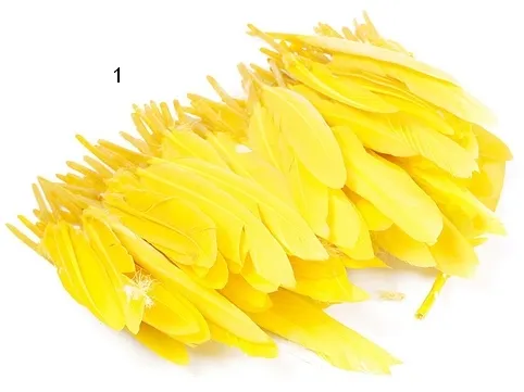 piora-gesie-ok-20szt