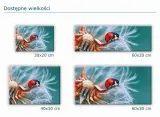 szklana-deska-kuchenna-40x30-238b-biedronka-stan-nowy