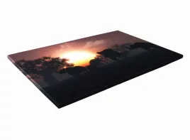 szklana-deska-kuchenna-40x30-399b-slonie