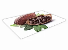 szklana-deska-kuchenna-30x20-81a-kakao