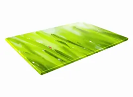 szklana-deska-kuchenna-30x20-351a-biedronka