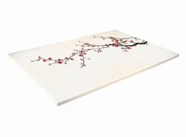 szklana-deska-kuchenna-30x20-407a-wisnia