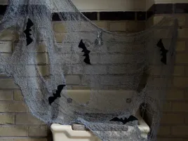 gaza-szara-z-nietoperzami-na-halloween