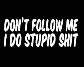 naklejka-wlepa-don-t-follow-me-i-do-stupid-shit-sticker-samochod-kask