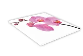 szklana-deska-kuchenna-25x25-434e-rozowa-orchidea