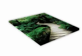szklana-deska-kuchenna-25x25-454e-dzungla