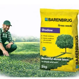 trawa-barenbrug-shadow-do-cienia-shadowandsun-nasiona-traw-na-cien-slonce-5kg