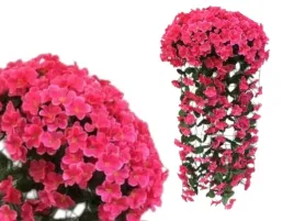 sztuczna-surfinia-pelargonia-balkon-taras-1-szt-roz