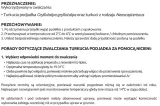 turkuc-stoper-vegano-25-mln-producent-vegano