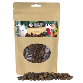 back-zoo-nature-orzechy-cedrowe-dla-papug-200g