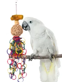java-fiesta-or-naturalna-zabawa-dla-papug-or-50-cm