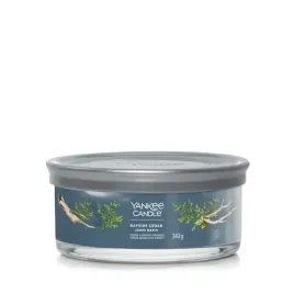 swieca-duza-yankee-candle-bayside-cedar-tumbler