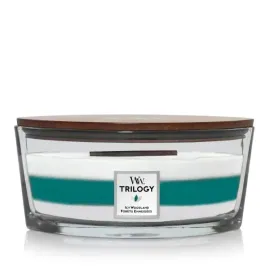 swieca-zapachowa-woodwick-hearthwick-elipsa-trilogy-icy-woodland-453-g