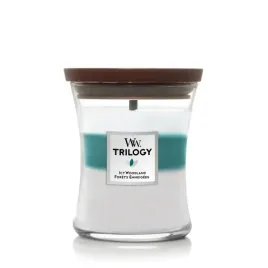 woodwick-srednia-swieca-nowosc-icy-woodland-275-g