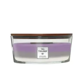 swieca-zapachowa-woodwick-trilogy-hearthwick-elipsa-lodka-amethyst-sky-453g
