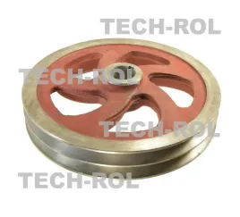 kolo-pasowe-podwojne-otwor-fi-30mm-wpust-8mm-bizon-5055721210-produkt