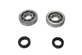 zestaw-lozysk-walu-korbowego-aprilia-derbi-gilera-piaggio-50cc-20x52x12-skf
