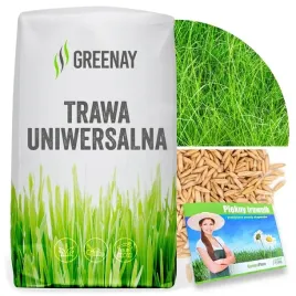 trawa-uniwersalna-nasiona-trawy-samozageszczajaca-odporna-na-deptanie-15kg