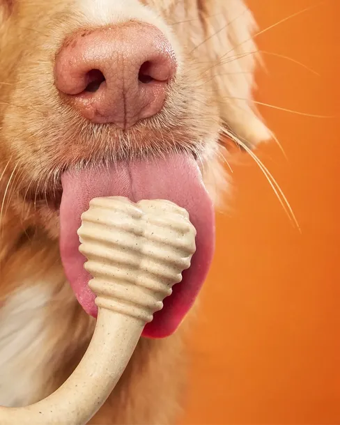 betterbone-classic-large-medium-marka-buba-pet