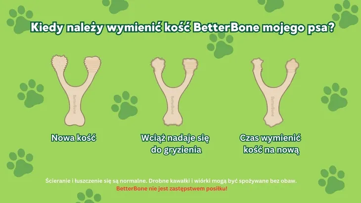 betterbone-classic-large-medium-rodzaj-gryzaki