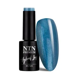 lakier-hybrydowy-ntn-premium-multicolor-collection-5g-nr-90