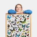 czuczu-puzzlove-motyle-200-7-stan-nowy-wydawca-czuczu
