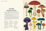 fungarium-muzeum-grzybow-wydawca-inny