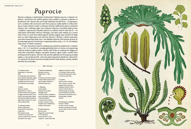 botanicum-muzeum-roslin-wydawca-inny