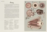 anatomicum-muzeum-anatomii-stan-nowy