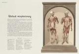 anatomicum-muzeum-anatomii-nazwa-anatomicum-muzeum-anatomii
