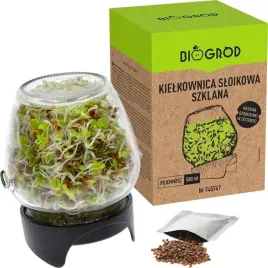 kielkownica-w-sloiku-nasiona-na-kielki-szybka-uprawa-sloikowa-twist-off
