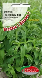 stewia-miodowy-lisc-stevia-rebaudiana-10-sztuk-torseed