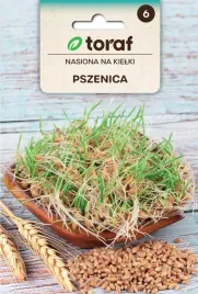 nasiona-na-kielki-pszenica-toraf-332