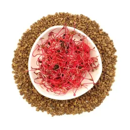 burak-bycza-krew-100g-nasiona-na-kielki