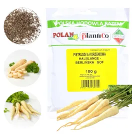 pietruszka-korzeniowa-halblange-berlinska-duze-opakowanie-100g-nasion