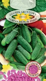 ogorek-gruntowy-cornichon-de-paris-nasiona-otoczkowane