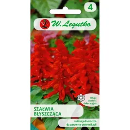 szalwia-blyszczaca-intensywna-czerwien-nasiona-kwiatow-roslin-ozdobnych
