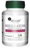 regulator-homocysteiny-60kaps-aliness