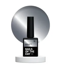 nailsoftheday-korean-cat-eye-13-ciemno-szary-lakier-hybrydowy-z-efektem