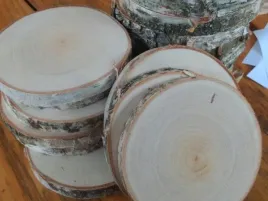 suche-plastry-brzozowe-szlifowane-16-cm