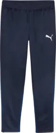 spodnie-meskie-puma-team-goal-training-granatowe-658639-06-rozm-xl