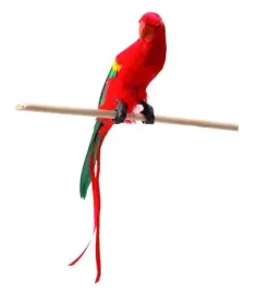papuga-z-pior-30cm-52354