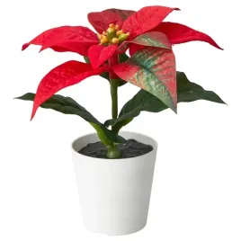 gwiazda-betlejemska-poinsecja-ikea-fejka-sztuczna-roslina-15cm