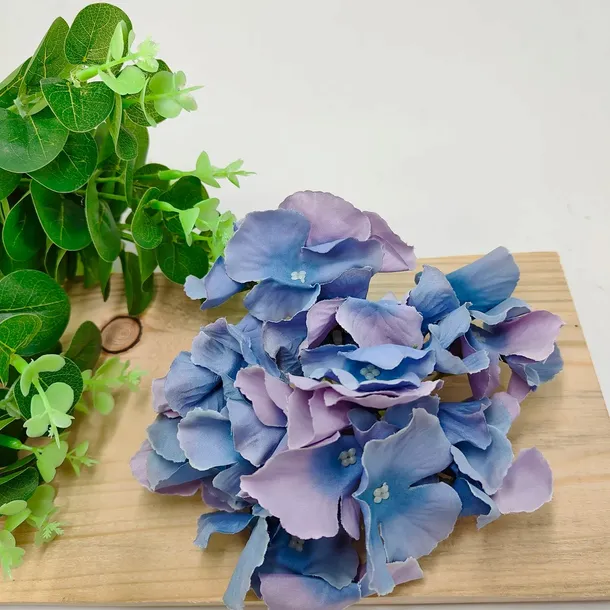 hortensja-wyrobowa-glossy-grape-9-cm-stan-nowy