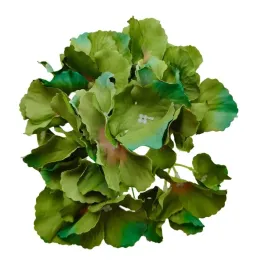hortensja-wyrobowa-9-cm-kolorowy-dodatek