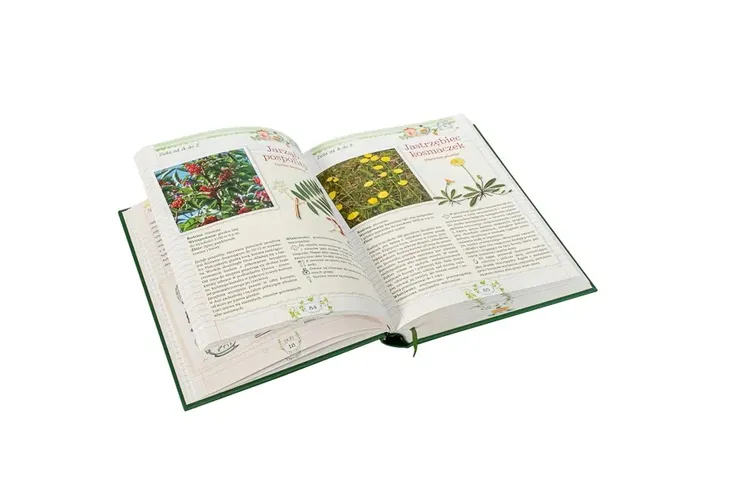 ziola-nowa-encyklopedia-mancini-polettini-wydawnictwo-jednosc