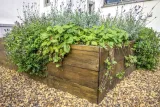 vidaron-impregnat-5l-palisander-indyjski-marka-vidaron
