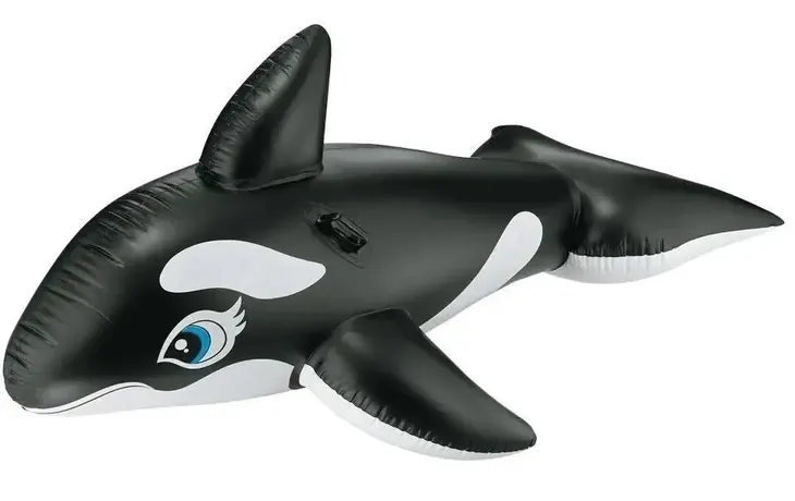 orka-do-plywania-cechy-dodatkowe-uchwyty-do-trzymania