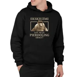 ekskjuzmi-lot-ar-ju-pierdoling-ebalt-smieszna-bluza-meska-z-kapturem
