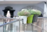 doniczka-na-balustrade-lofly-railing-limonka-25cm-ksztalt-okragly